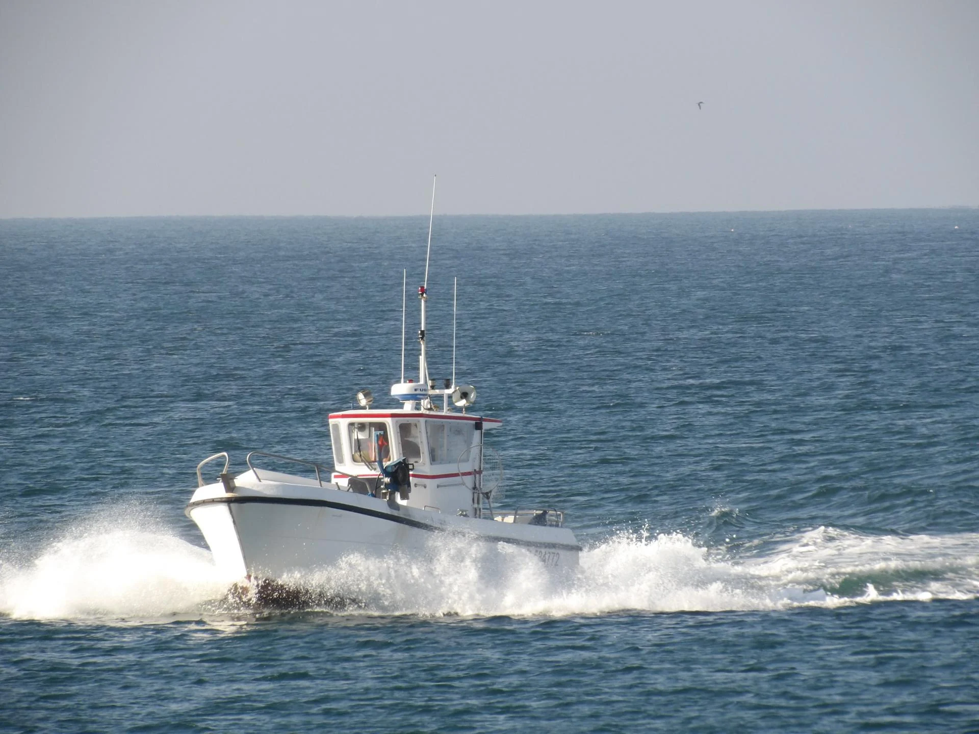 250520 ondine raoulic f